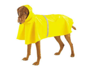 Big Raincoat